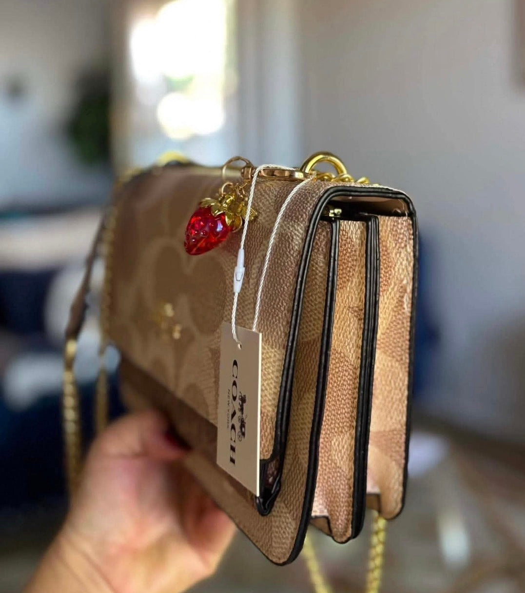 Inspired Coach purse