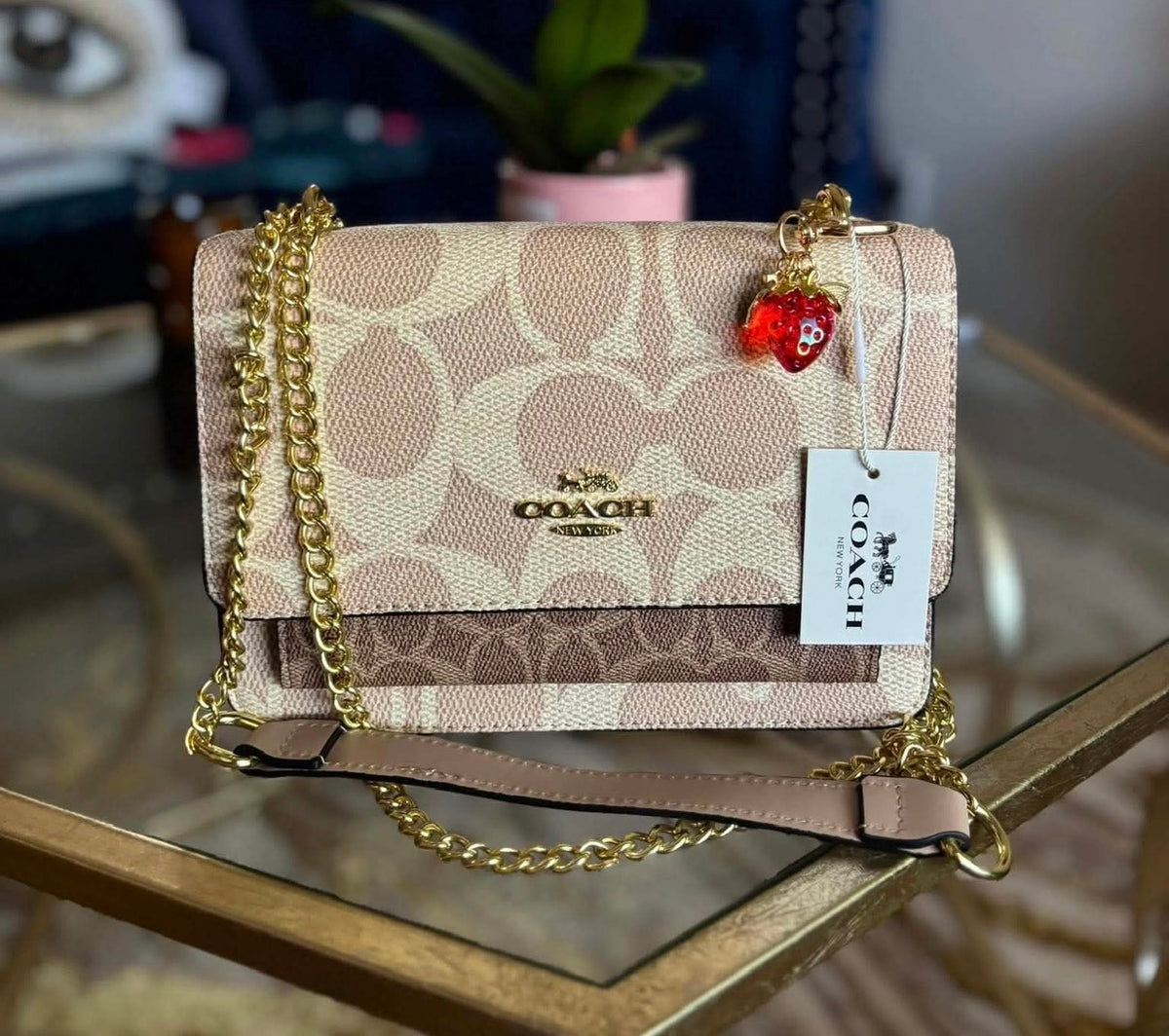 Inspired Coach purse